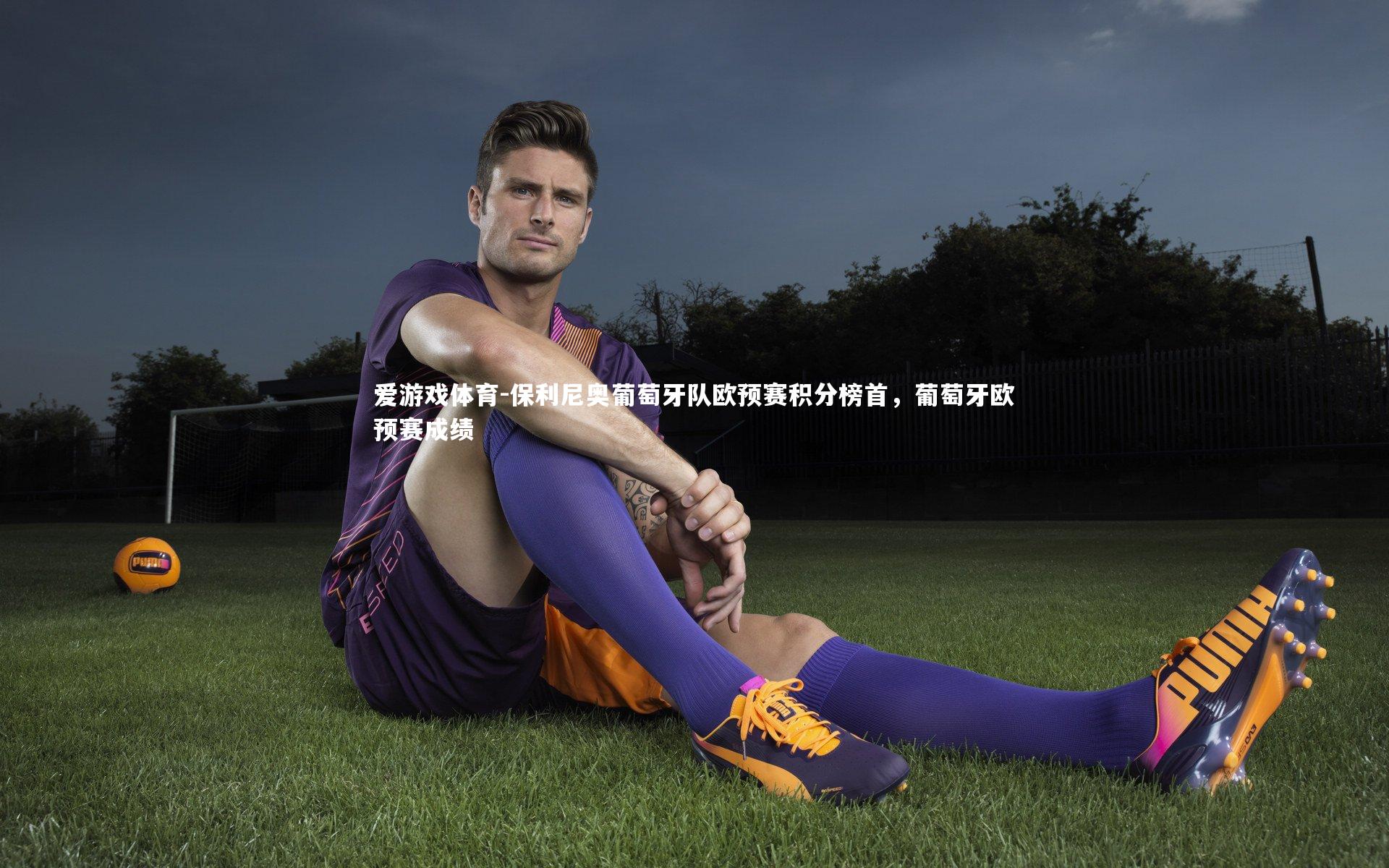 保利尼奥葡萄牙队欧预赛积分榜首，葡萄牙欧预赛成绩