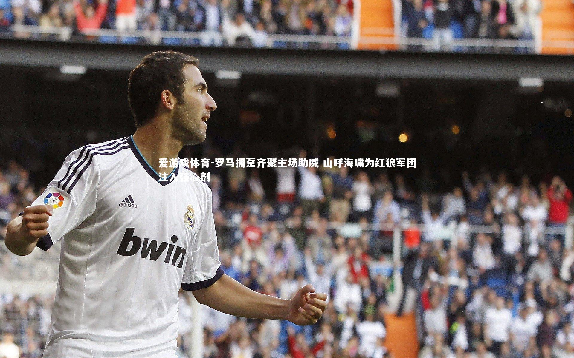 罗马拥趸齐聚主场助威 山呼海啸为红狼军团注入强心剂