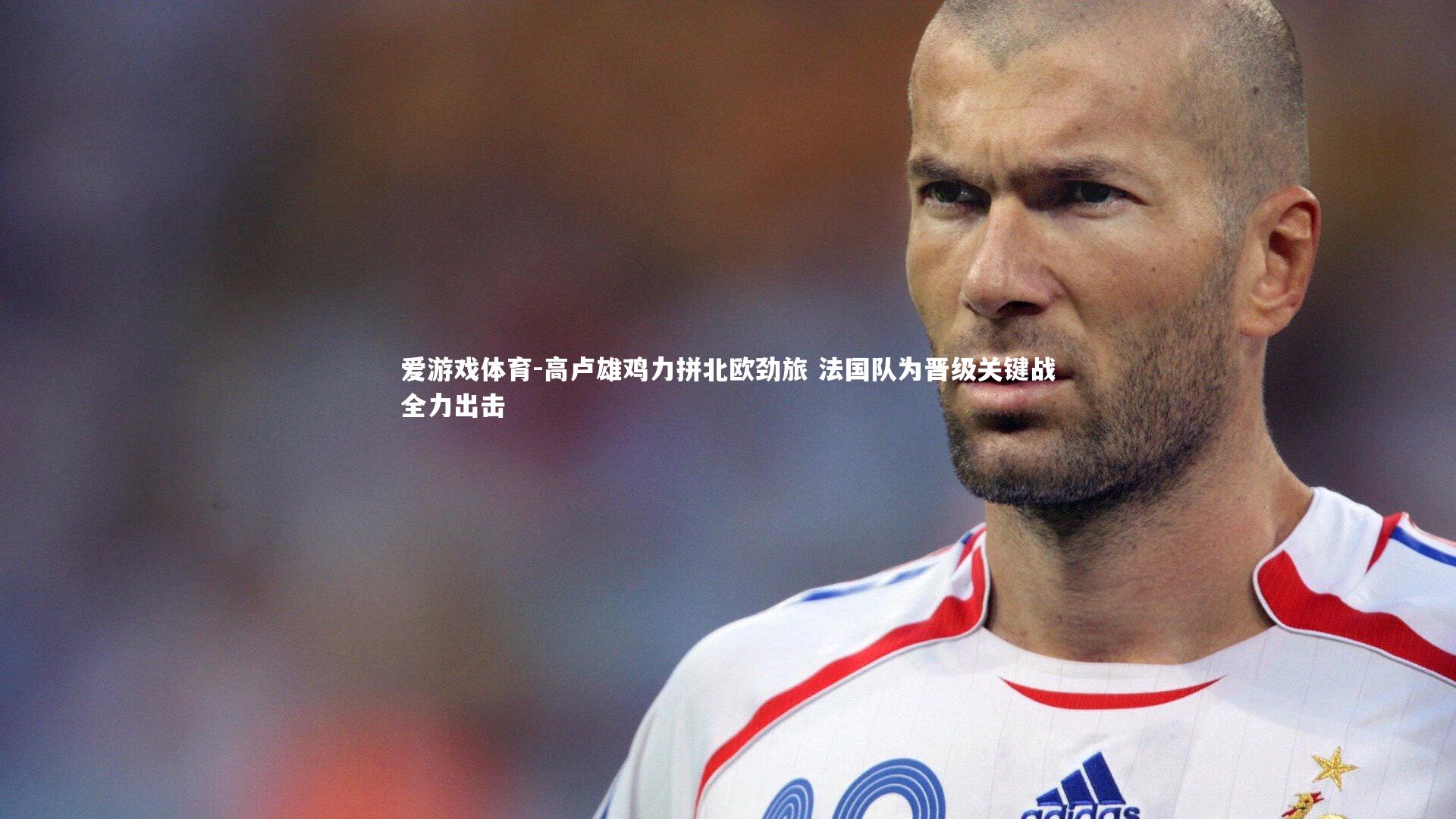 高卢雄鸡力拼北欧劲旅 法国队为晋级关键战全力出击